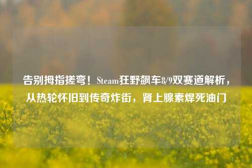告别拇指搓弯!Steam狂野飙车8/9双赛道解析,从热轮怀旧到传奇炸街,肾上腺素焊死油门