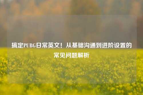 搞定PUBG日常英文!从基础沟通到进阶设置的常见问题解析