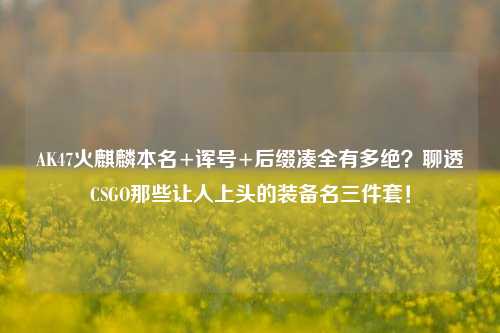 AK47火麒麟本名+诨号+后缀凑全有多绝?聊透CSGO那些让人上头的装备名三件套!