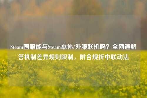 Steam国服能与Steam本体/外服联机吗?全网通解答机制差异规则限制,附合规折中联动法