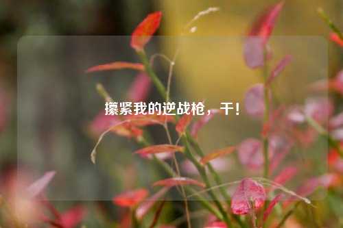 攥紧我的逆战枪,干!