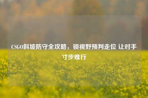 CSGO斜坡防守全攻略,锁视野预判走位 让对手寸步难行