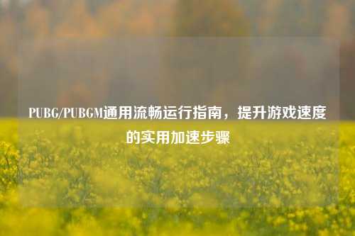 PUBG/PUBGM通用流畅运行指南,提升游戏速度的实用加速步骤