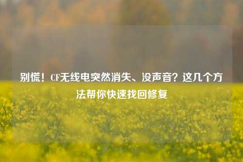 别慌!CF无线电突然消失、没声音?这几个 *** 帮你快速找回修复