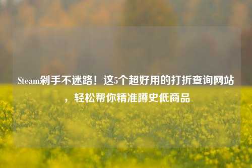 Steam剁手不迷路!这5个超好用的打折查询网站,轻松帮你精准蹲史低商品