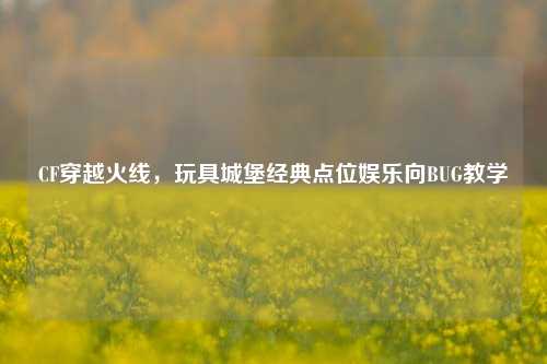 CF穿越火线,玩具城堡经典点位娱乐向BUG教学