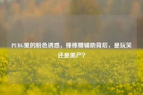 PUBG里的粉***惑,棒棒糖辅助背后,是玩笑还是黑产?
