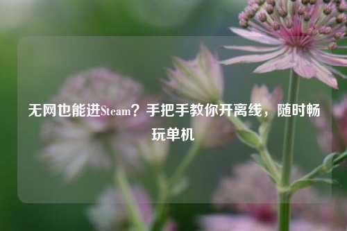 无网也能进Steam?手把手教你开离线,随时畅玩单机