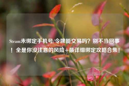 Steam未绑定手机号/令牌能交易吗?别不当回事!全是你没注意的风险+最详细绑定攻略合集!