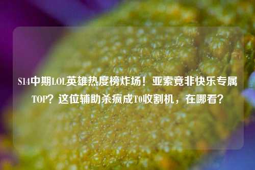 S14中期LOL英雄热度榜炸场!亚索竟非快乐专属TOP?这位辅助杀疯成T0收割机,在哪看?