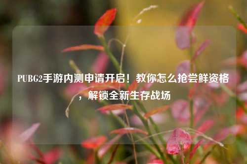 PUBG2手游内测申请开启!教你怎么抢尝鲜资格,解锁全新生存战场