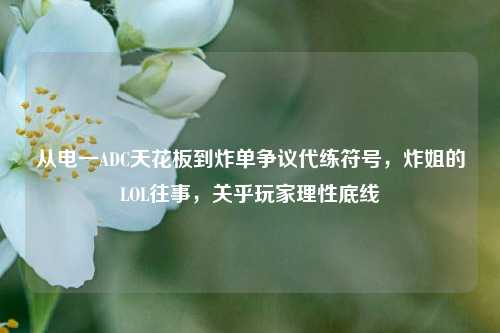 从电一ADC天花板到炸单争议代练符号,炸姐的LOL往事,关乎玩家理性底线