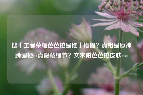 搜「王者荣耀芭芭拉是谁」懵圈?真相是原神跨圈梗or真隐藏细节?文末附芭芭拉皮肤cos