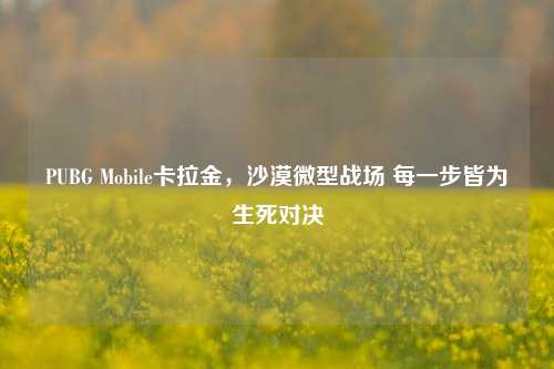 PUBG Mobile卡拉金,沙漠微型战场 每一步皆为生死对决