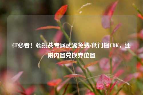CF必看!领挑战专属武器免费/低门槛CDK,还附内置兑换券位置