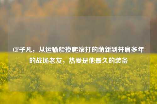 CF子凡,从运输船摸爬滚打的萌新到并肩多年的战场老友,热爱是他最久的装备