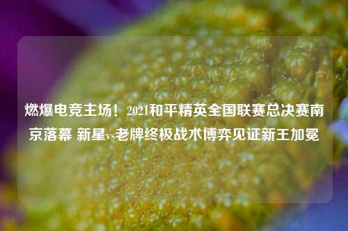 燃爆电竞主场!2021和平精英全国联赛总决赛南京落幕 新星vs老牌终极战术博弈见证新王加冕