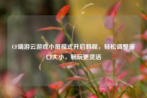 CF端游云游戏小屏模式开启教程,轻松调整窗口大小,畅玩更灵活
