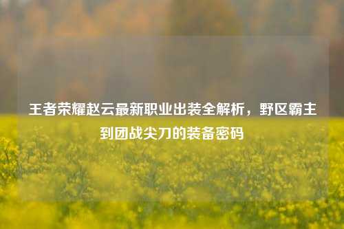 王者荣耀赵云最新职业出装全解析,野区霸主到团战尖刀的装备密码