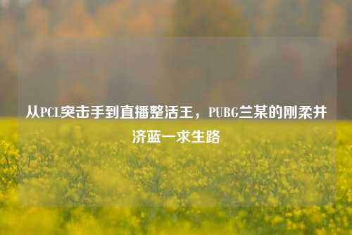 从PCL突击手到直播整活王,PUBG兰某的刚柔并济蓝一求生路