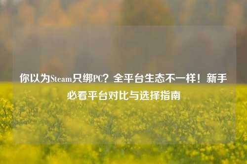 你以为Steam只绑PC?全平台生态不一样!新手必看平台对比与选择指南