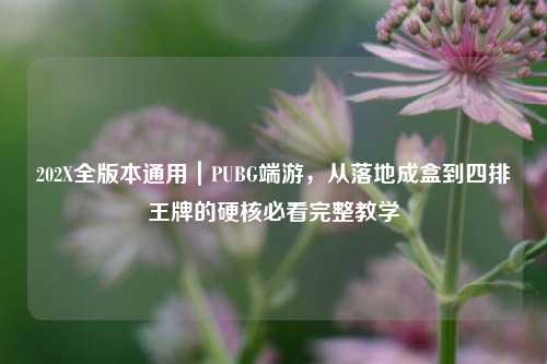 202X全版本通用|PUBG端游,从落地成盒到四排王牌的硬核必看完整教学