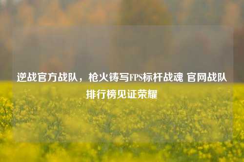 逆战官方战队,枪火铸写FPS标杆战魂 官网战队排行榜见证荣耀