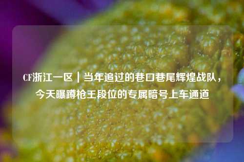 CF浙江一区|当年追过的巷口巷尾辉煌战队,今天曝蹲枪王段位的专属暗号上车通道