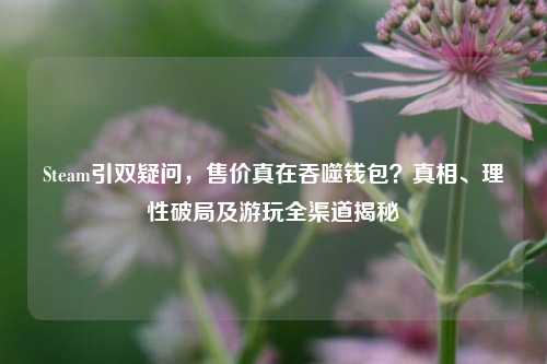 Steam引双疑问,售价真在吞噬钱包?真相、理性破局及游玩全渠道揭秘