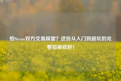 怕Steam双方交易踩雷?这份从入门到避坑的完整指南收好!