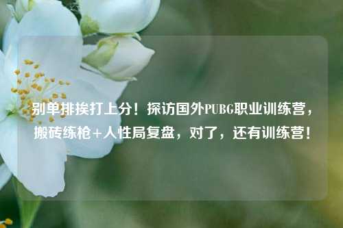 别单排挨打上分!探访国外PUBG职业训练营,搬砖练枪+人性局复盘,对了,还有训练营!