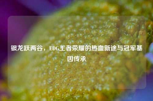 银龙跃两谷,EDG王者荣耀的热血新途与冠军基因传承