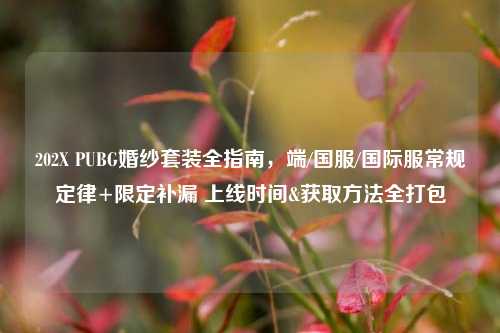 202X PUBG婚纱套装全指南,端/国服/国际服常规定律+限定补漏 上线时间&获取 *** 全打包