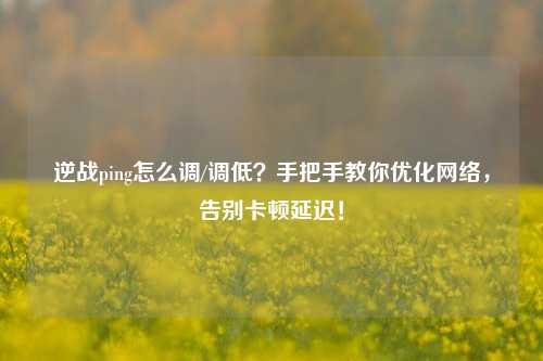 逆战ping怎么调/调低?手把手教你优化 *** ,告别卡顿延迟!