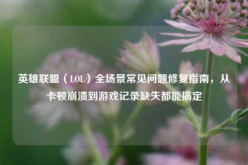 英雄联盟(LOL)全场景常见问题修复指南,从卡顿崩溃到游戏记录缺失都能搞定