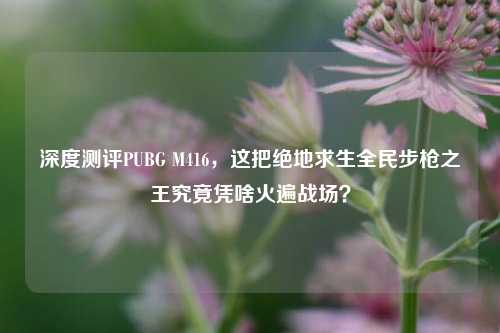 深度测评PUBG M416,这把绝地求生全民步枪之王究竟凭啥火遍战场?
