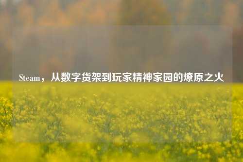 Steam,从数字货架到玩家精神家园的燎原之火