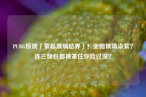 PUBG惊现「紫晶玻璃结界」!全图玻璃染紫?连三级包都被罩住你捡过没?