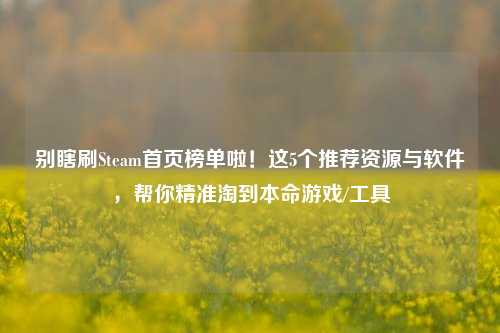 别瞎刷Steam首页榜单啦!这5个推荐资源与软件,帮你精准淘到本命游戏/工具