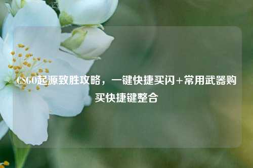 CSGO起源致胜攻略,一键快捷买闪+常用武器购买快捷键整合