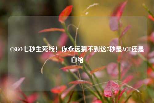 CSGO七秒生死线!你永远猜不到这7秒是ACE还是白给
