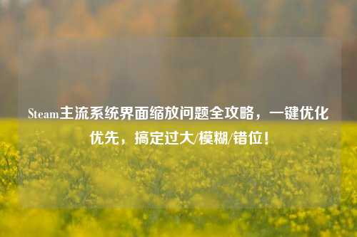 Steam主流系统界面缩放问题全攻略,一键优化优先,搞定过大/模糊/错位!