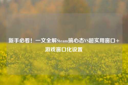 新手必看!一文全解Steam搞心态VS超实用窗口+游戏窗口化设置