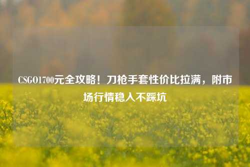 CSGO1700元全攻略!刀***套性价比拉满,附市场行情稳入不踩坑