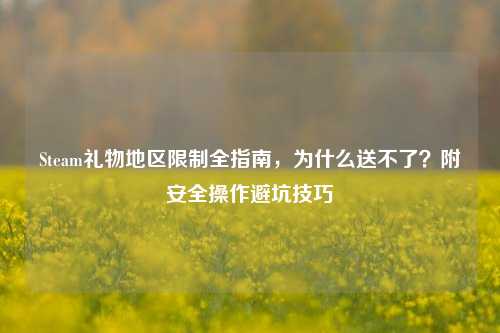 Steam礼物地区限制全指南,为什么送不了?附安全操作避坑技巧