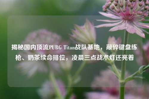 揭秘国内顶流PUBG Titan战队基地,敲碎键盘练枪、奶茶续命排位,凌晨三点战术灯还亮着