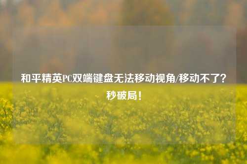 和平精英PC双端键盘无法移动视角/移动不了?秒破局!