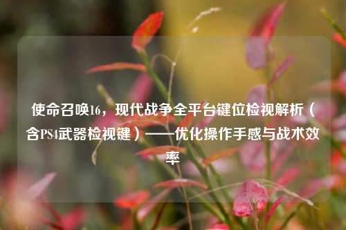 使命召唤16,现代战争全平台键位检视解析(含PS4武器检视键)——优化操作手感与战术效率