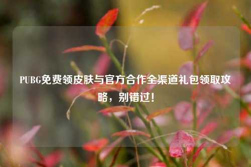 PUBG免费领皮肤与官方合作全渠道礼包领取攻略,别错过!
