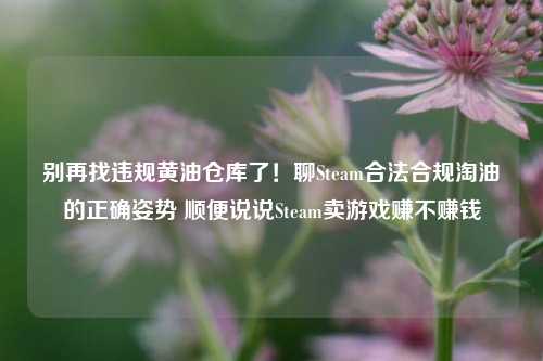 别再找违规黄油仓库了!聊Steam合法合规淘油的正确姿势 顺便说说Steam卖游戏赚不赚钱